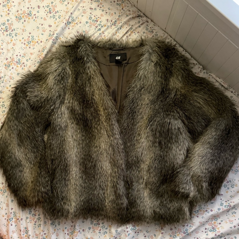 H&M Brown Coat with Faux Fur Trim